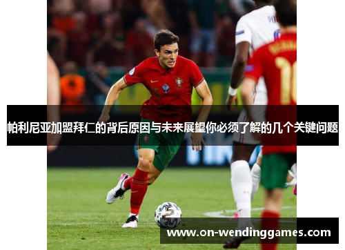 帕利尼亚加盟拜仁的背后原因与未来展望你必须了解的几个关键问题