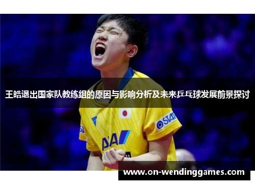 王皓退出国家队教练组的原因与影响分析及未来乒乓球发展前景探讨