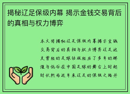 揭秘辽足保级内幕 揭示金钱交易背后的真相与权力博弈